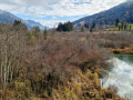 IMG_11202022_050