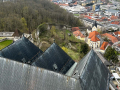 IMG_0790
