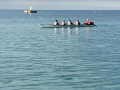 The race