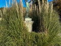 Miramare Castle