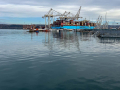 The port in Koper