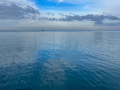 The port in Koper