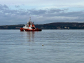 The port in Koper
