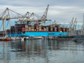 The port in Koper