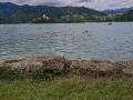 Jezero Bled